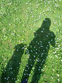 Addestratore Cinofilo