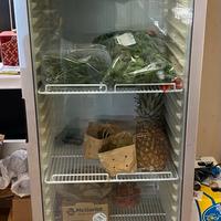 FRIGO COLONNA