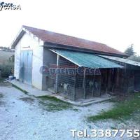 Terreno con ulivi e annesso a Morro D'Alba