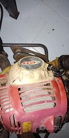 Tagliaerba con Zainetto