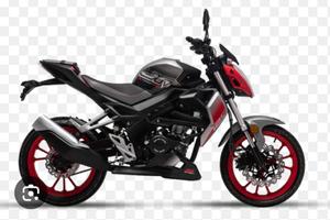 Um xtreet 125 - 2025