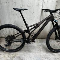Specialized Stumpjumper carbonio