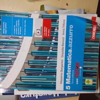 Matematica azzurro 5