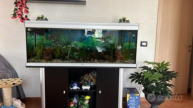 Acquario 450 litri con mobile