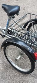 Bicicletta Triciclo