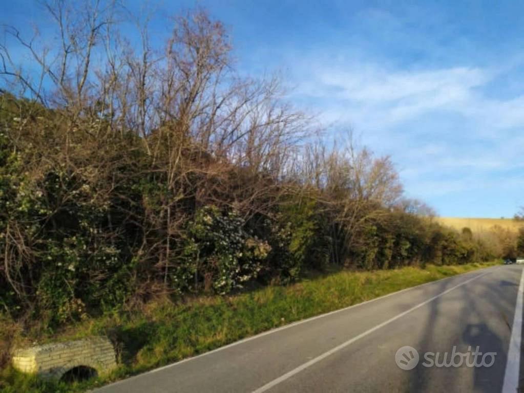 Immobile in asta di 16610 m² a Fermo - Vista 2