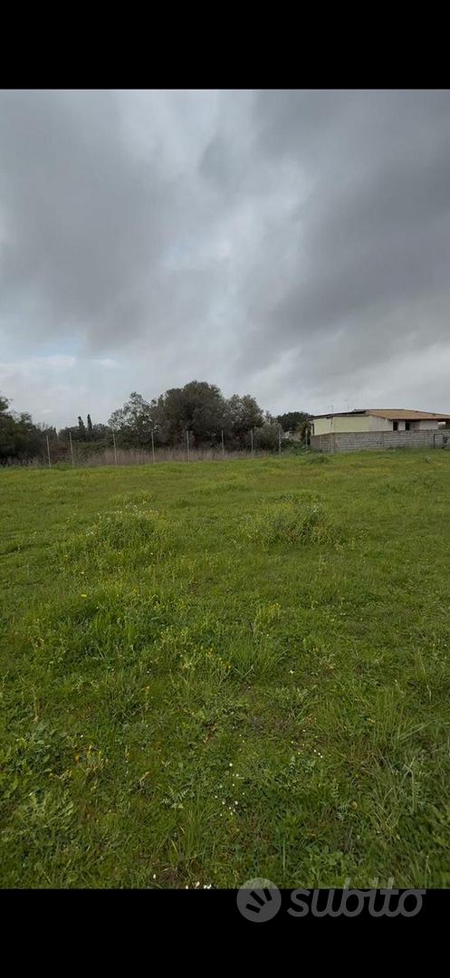 Terreno agricolo - Vista 3