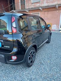 panda 1.0 hibrid