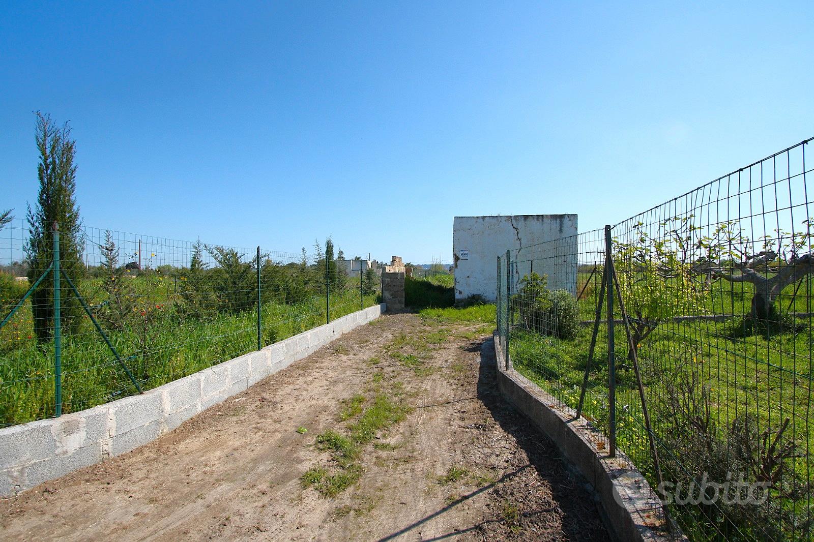 Terreno con rudere - Vista 5