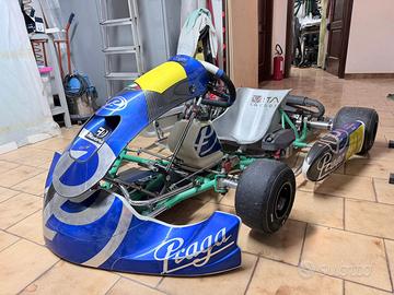Kart praga Rotax Max