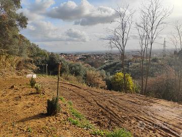 Terreno panoramico