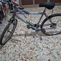 bicicletta donna