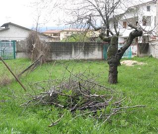 Terreno a Torre De Passeri