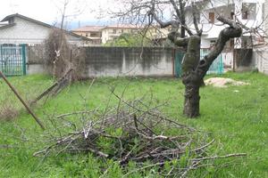 Terreno a Torre De Passeri