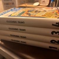 Libri collezionismo italiano Rizzoli