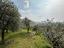 Immagine 18