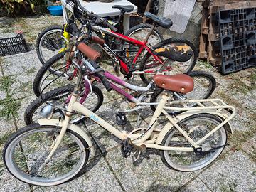 biciclette blocco unico 100 euro