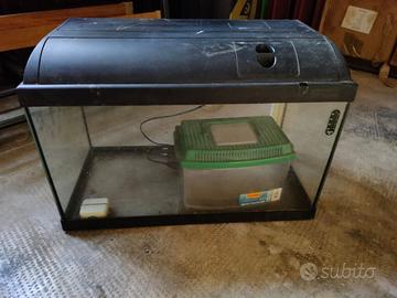 Acquario 60 litri con coperchio e accessori