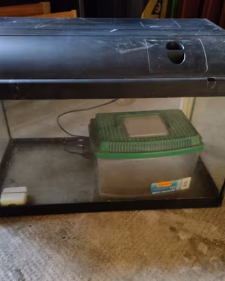 Acquario 60 litri con coperchio e accessori