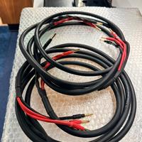 Cavi sommercable elephant