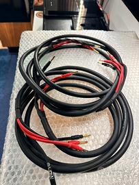 Cavi sommercable elephant