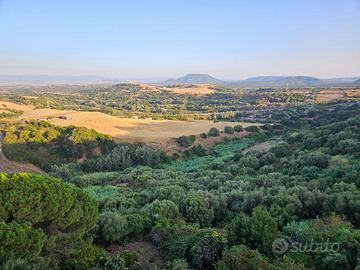 Terreno agricolo 2,2 ettari con acqua - Ploaghe