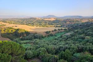 Terreno agricolo 2,2 ettari con acqua - Ploaghe