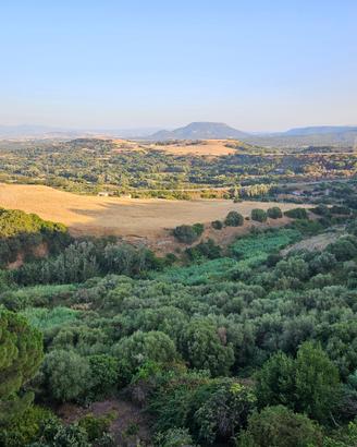 Terreno agricolo 2,2 ettari con acqua - Ploaghe