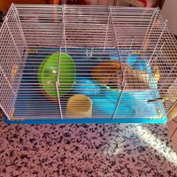 gabbietta per criceti