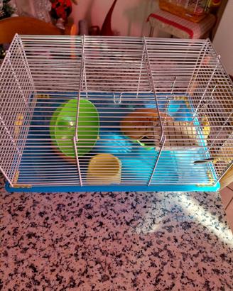 gabbietta per criceti