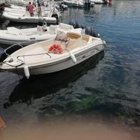 Ranieri shark 17