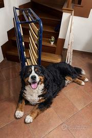 Letto singolo pieghevole, rete doghe + materasso