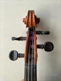 Violino