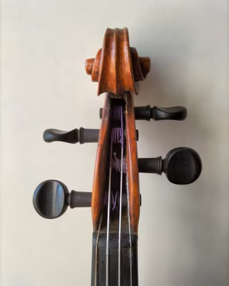 Violino