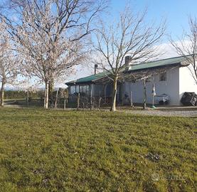 Terreno agricolo con annesso fabbricato agricolo