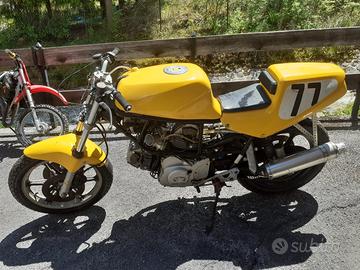 DUCATI SUPER SPORT