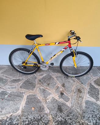 bicicletta 