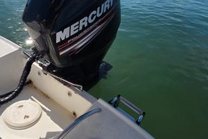 MERCURY 40 HP 