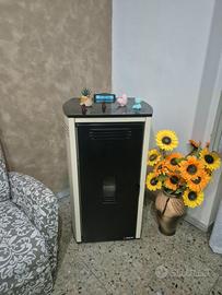 Stufa a pellet IDRO 24 KW