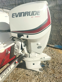 Motore fuori bordo evinrude CV 175