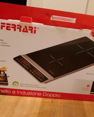 fornello a induzione doppio 