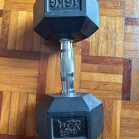 Manubrio singolo we’re 16 kg