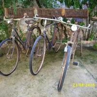 Biciclette antiche dei nonni