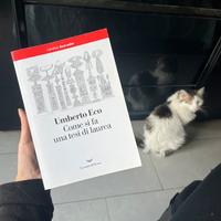 Libro, come si fa una tesi di laurea