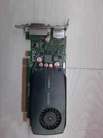 scheda video nvidia quadro 600 
