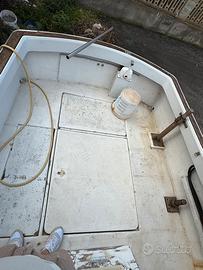 Pilotina semicabinata