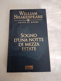 sogno d'una notte di mezza estate 