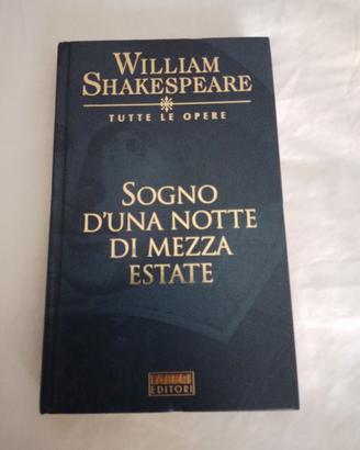 sogno d'una notte di mezza estate 