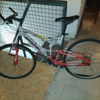 MTB BICI