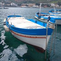 Barca a motore